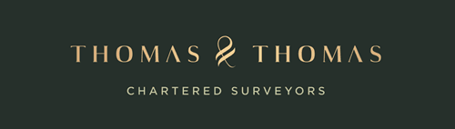 Thomas & Thomas logo