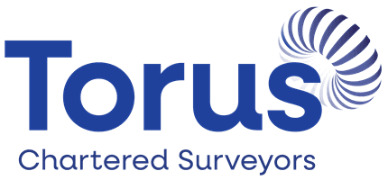 Torus Surveyors Ltd logo