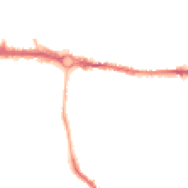 Night-time road noise heatmap for CO1 2AQ