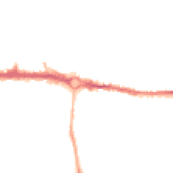 Night-time road noise heatmap for CO1 2JT