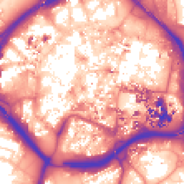 Daytime road noise heatmap for CV1 2GB