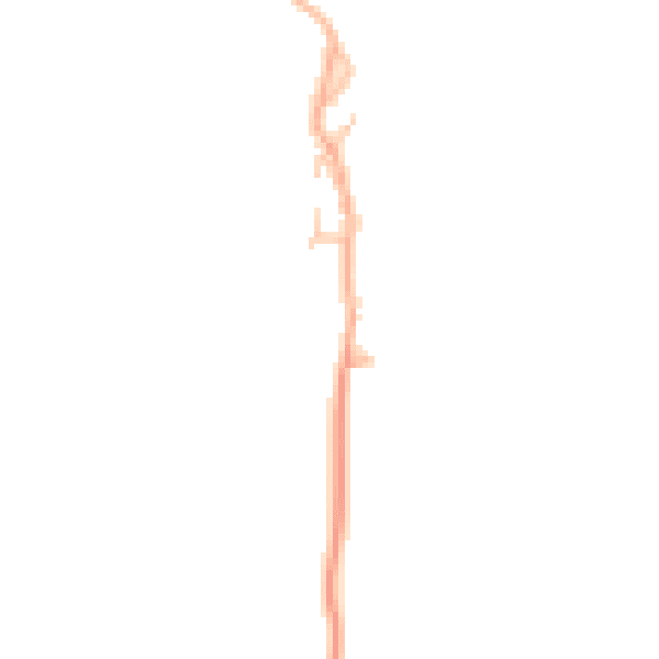 Daytime road noise heatmap for DL12 9PZ