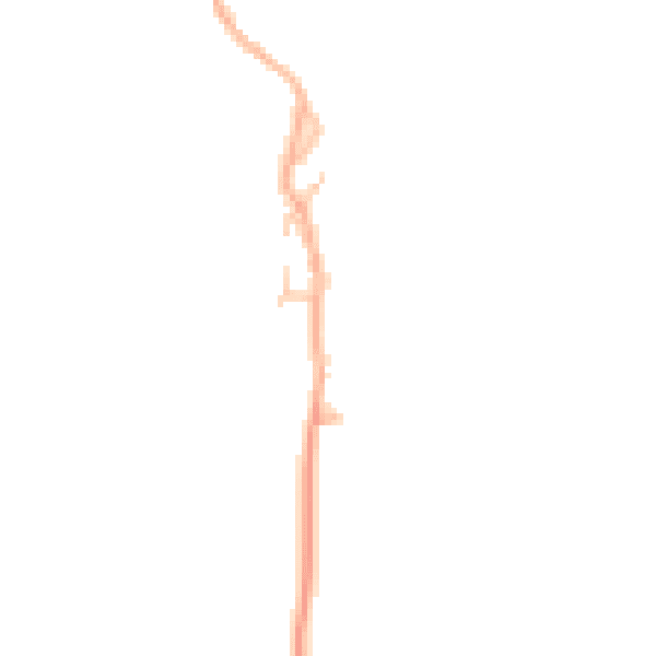 Daytime road noise heatmap for DL12 9QX