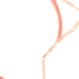 Night-time road noise heatmap for L19 6QA