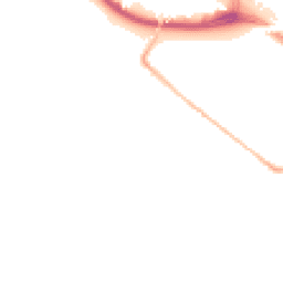 Night-time road noise heatmap for L19 8HN