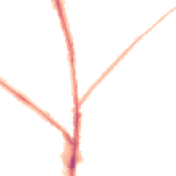 Night-time road noise heatmap for NN2 7SW