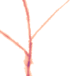 Night-time road noise heatmap for NN2 7SY