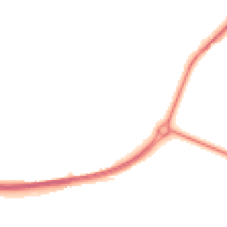 Night-time road noise heatmap for NR13 3BE