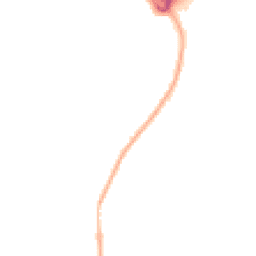 Night-time road noise heatmap for RH12 4US