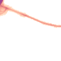 Night-time road noise heatmap for SO50 9QG