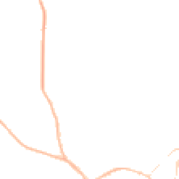 Night-time road noise heatmap for SY11 1BU