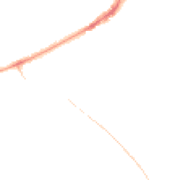 Night-time road noise heatmap for TN30 7BF