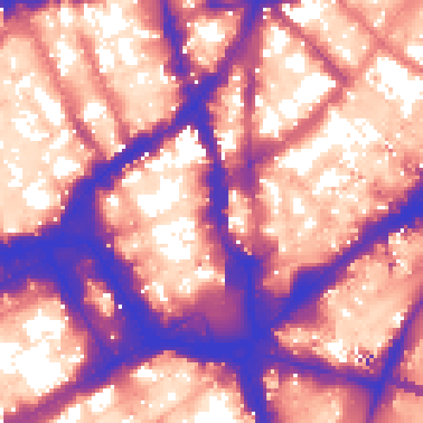 Daytime road noise heatmap for WC2H 0AT