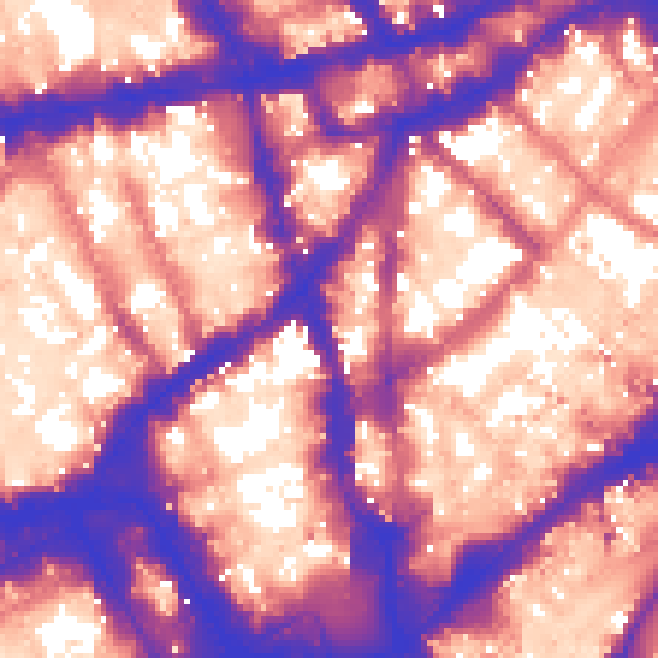 Daytime road noise heatmap for WC2H 0BN