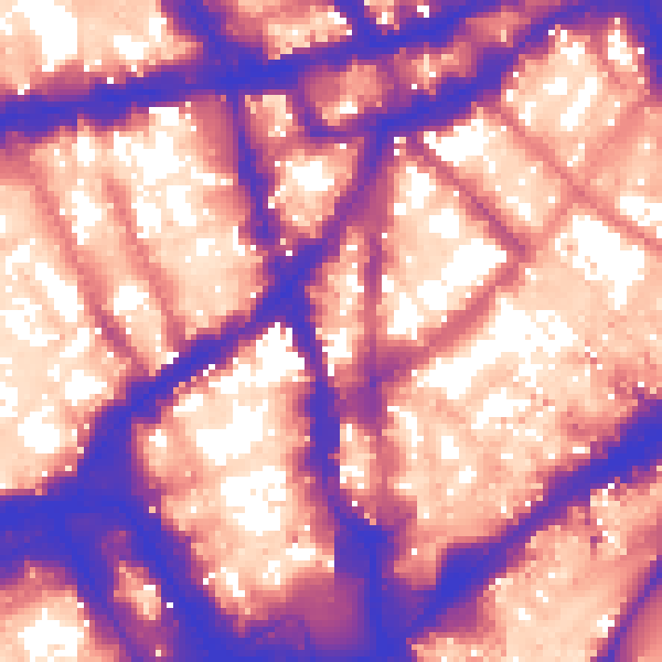 Daytime road noise heatmap for WC2H 0BP