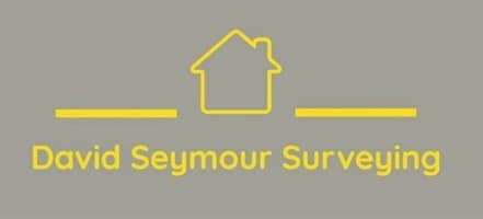 David Seymour Surveying logo