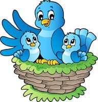 MY NEST Building Surveys and Valuations Ltd logo