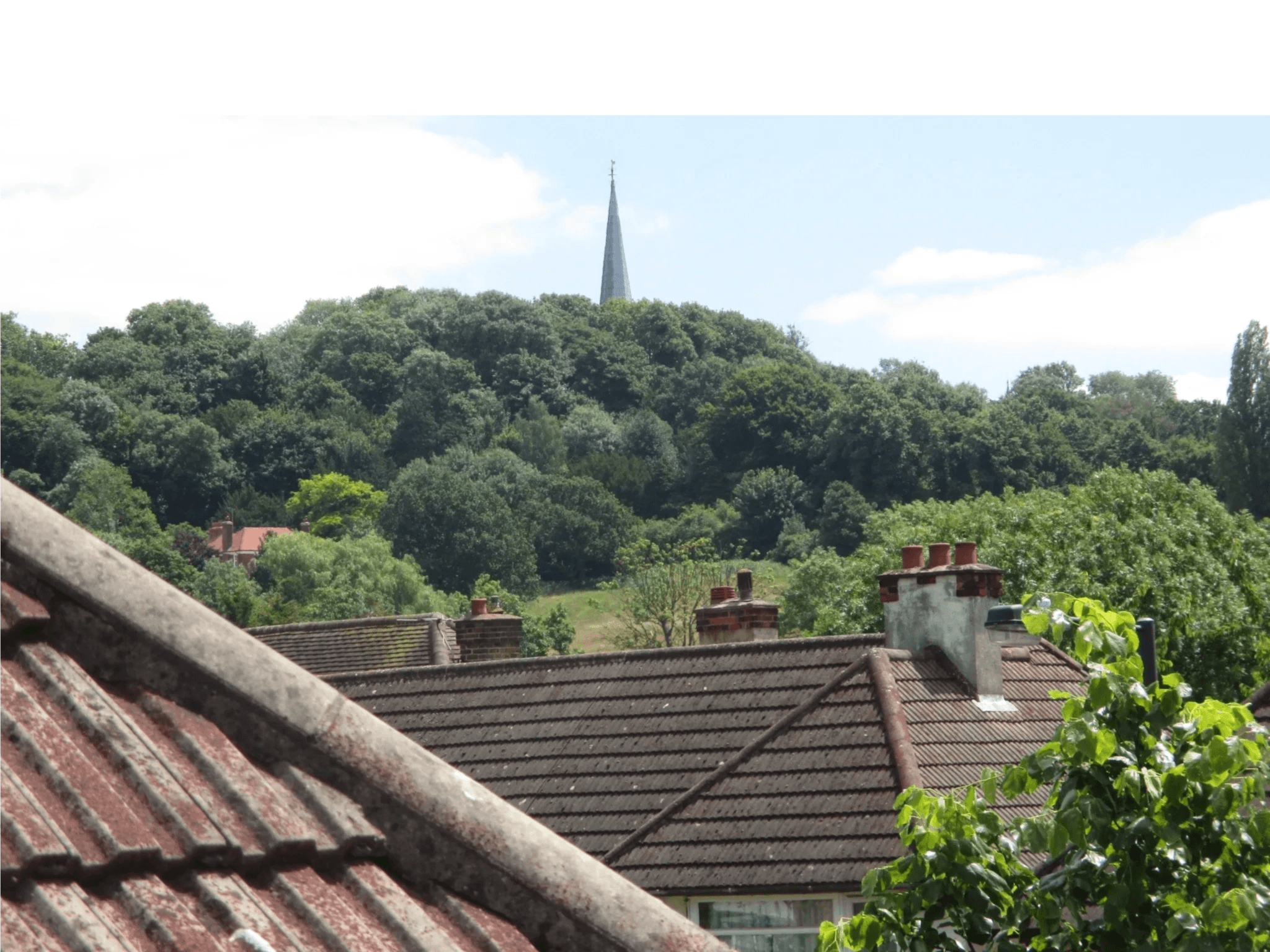 Robert Berenyi Chartered Surveyor logo