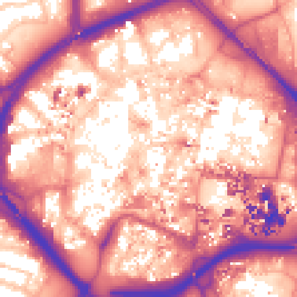 Daytime road noise heatmap for CV1 1NH