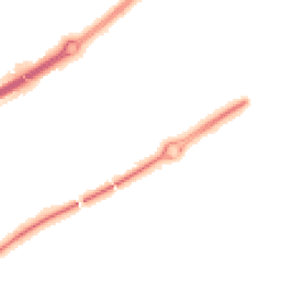 Night-time road noise heatmap for MK15 8PE