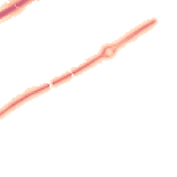 Night-time road noise heatmap for MK15 9HF